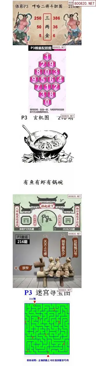 蜂巢天机图谜