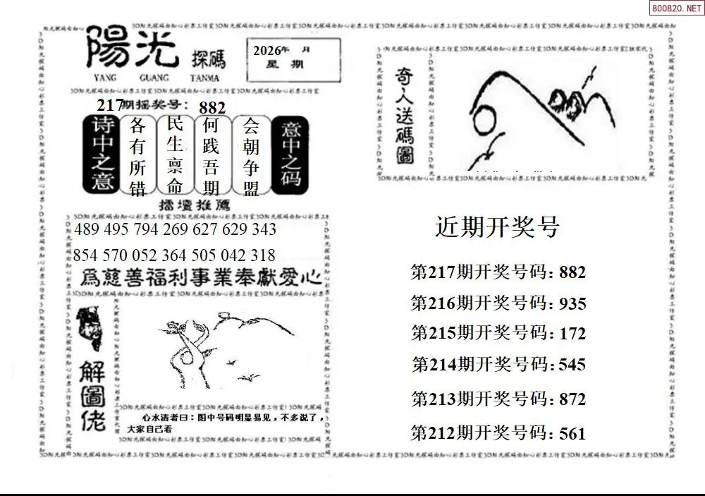 3D阳光探码