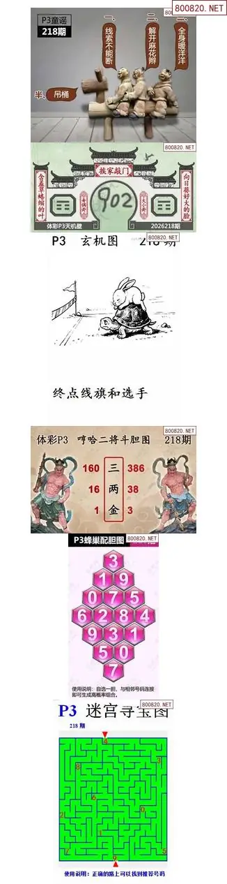 蜂巢天机图谜