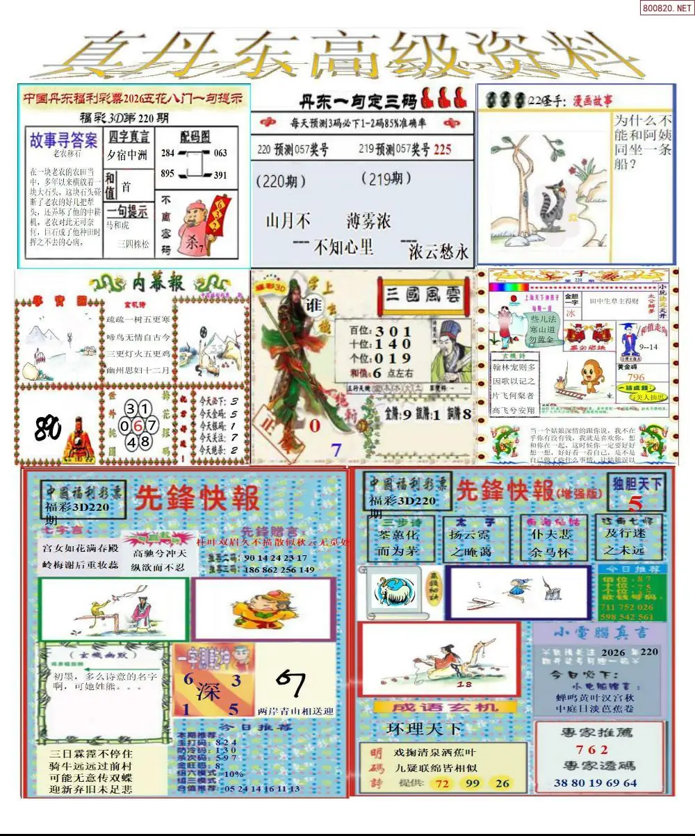真丹东高级资料
