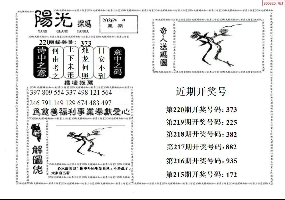 3D阳光探码