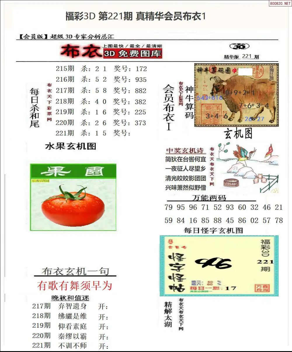 真精华会员布衣1