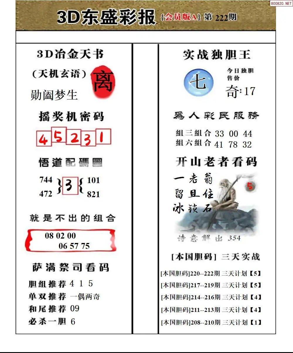 东盛VIP版A版