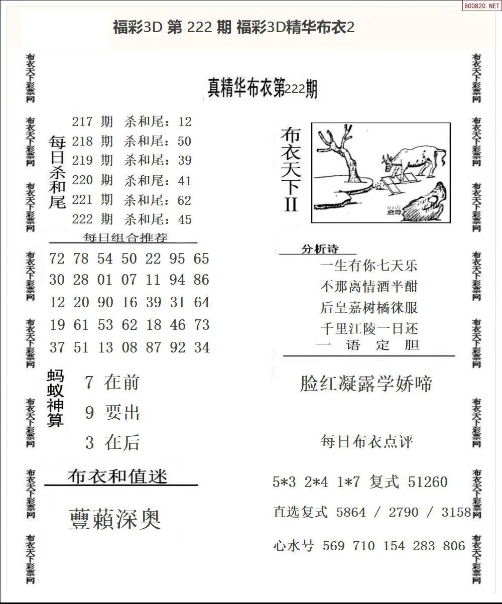 精华布衣2