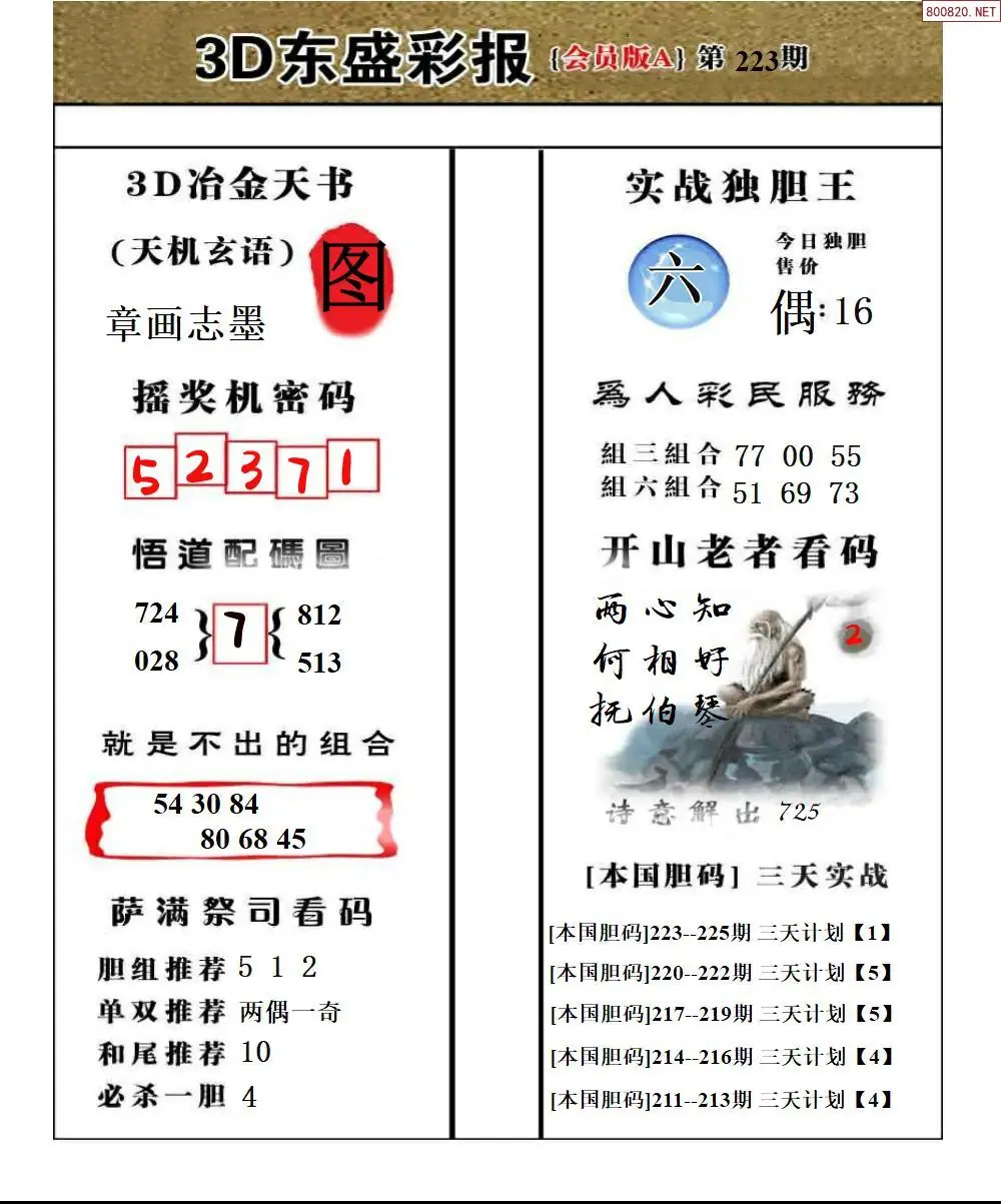 A236东盛VIP版A版