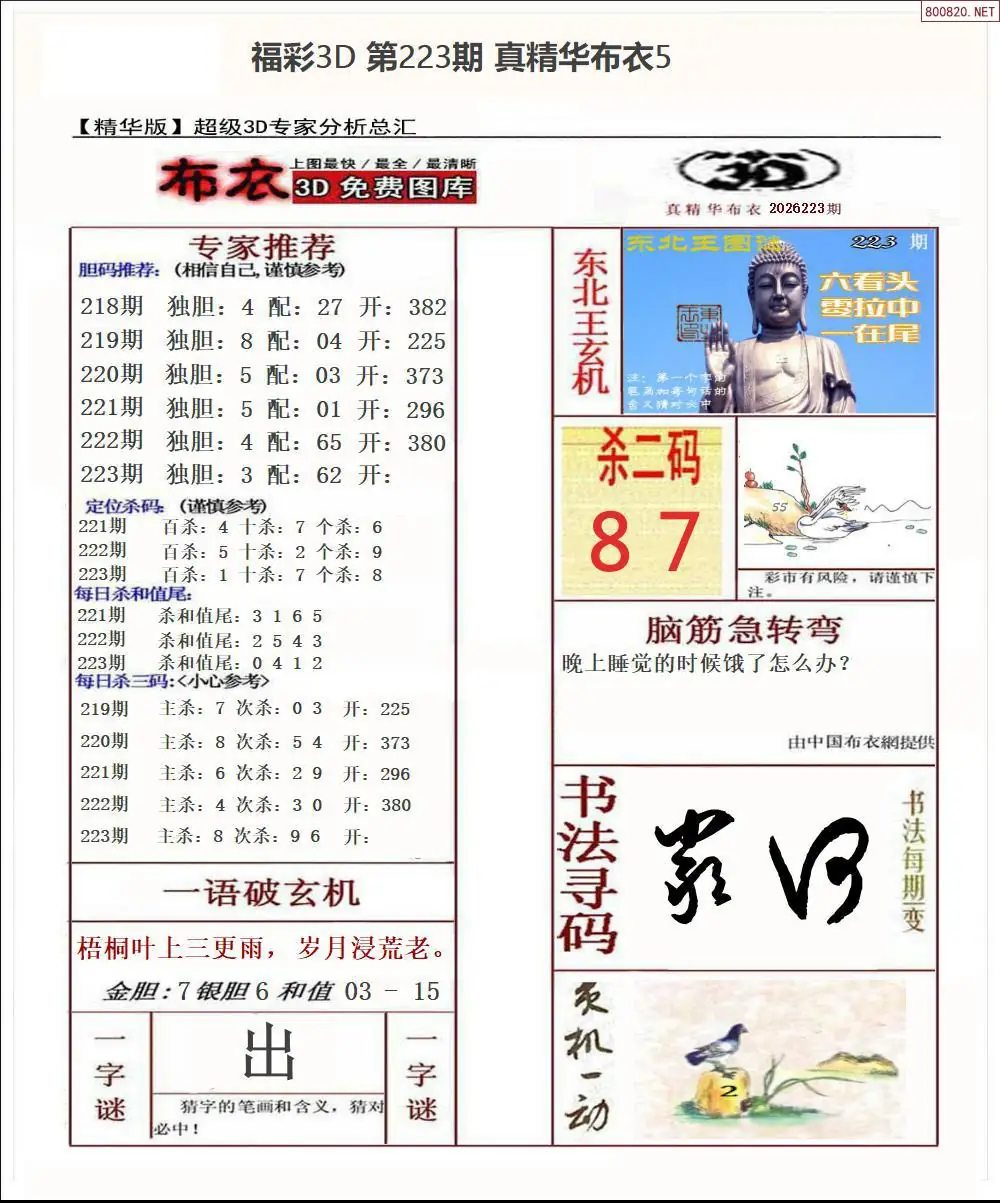真精华布衣5