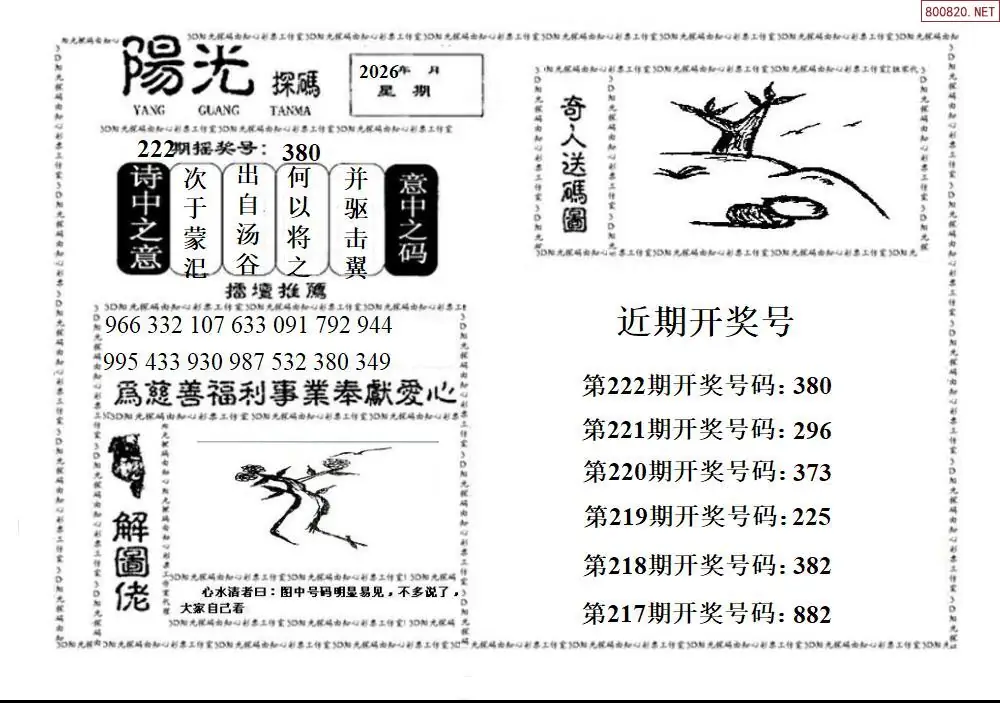 3D阳光探码