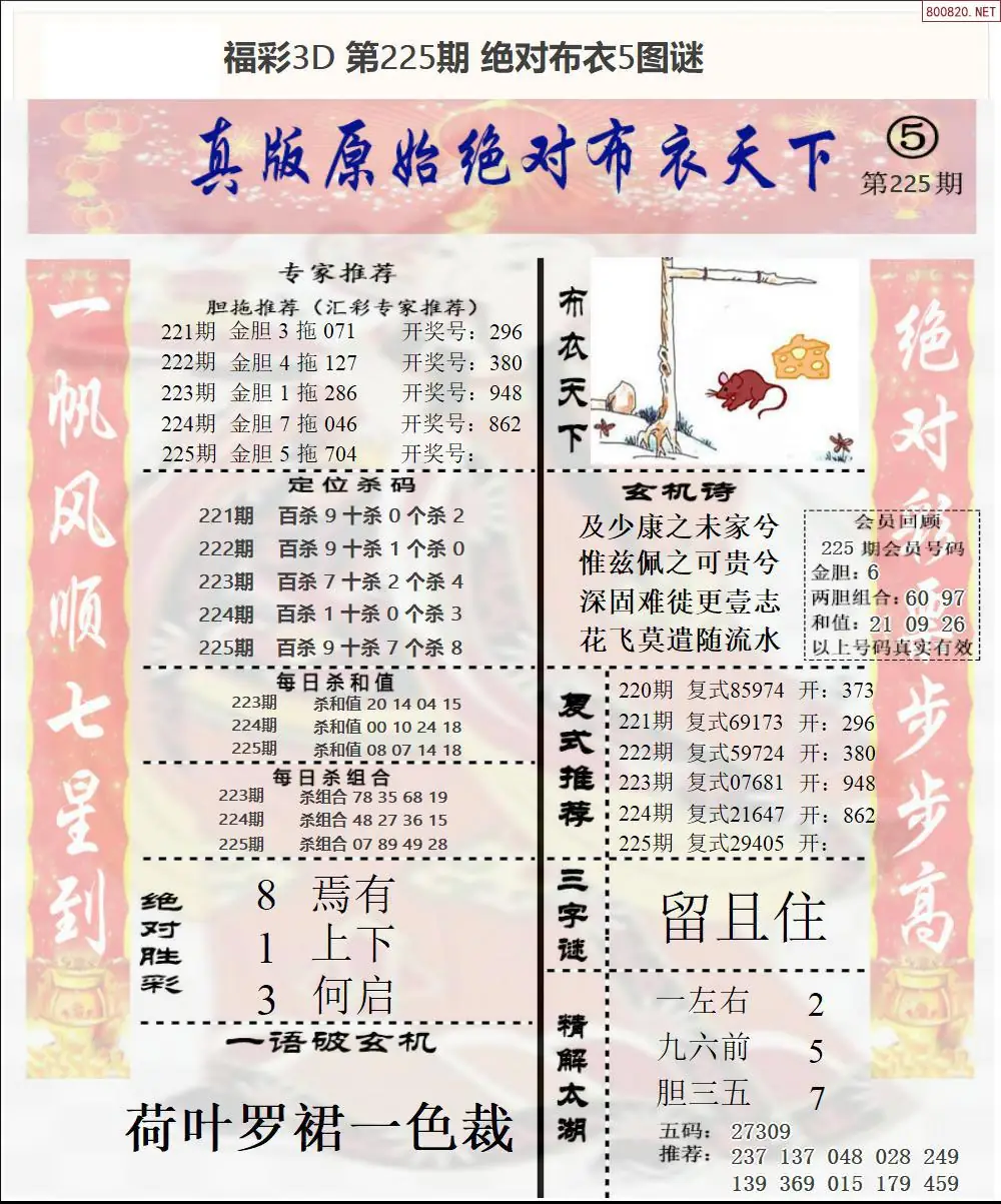 绝对布衣5