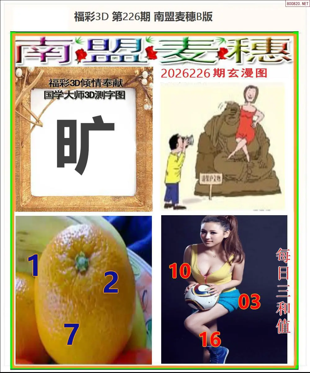南盟麦穗B版