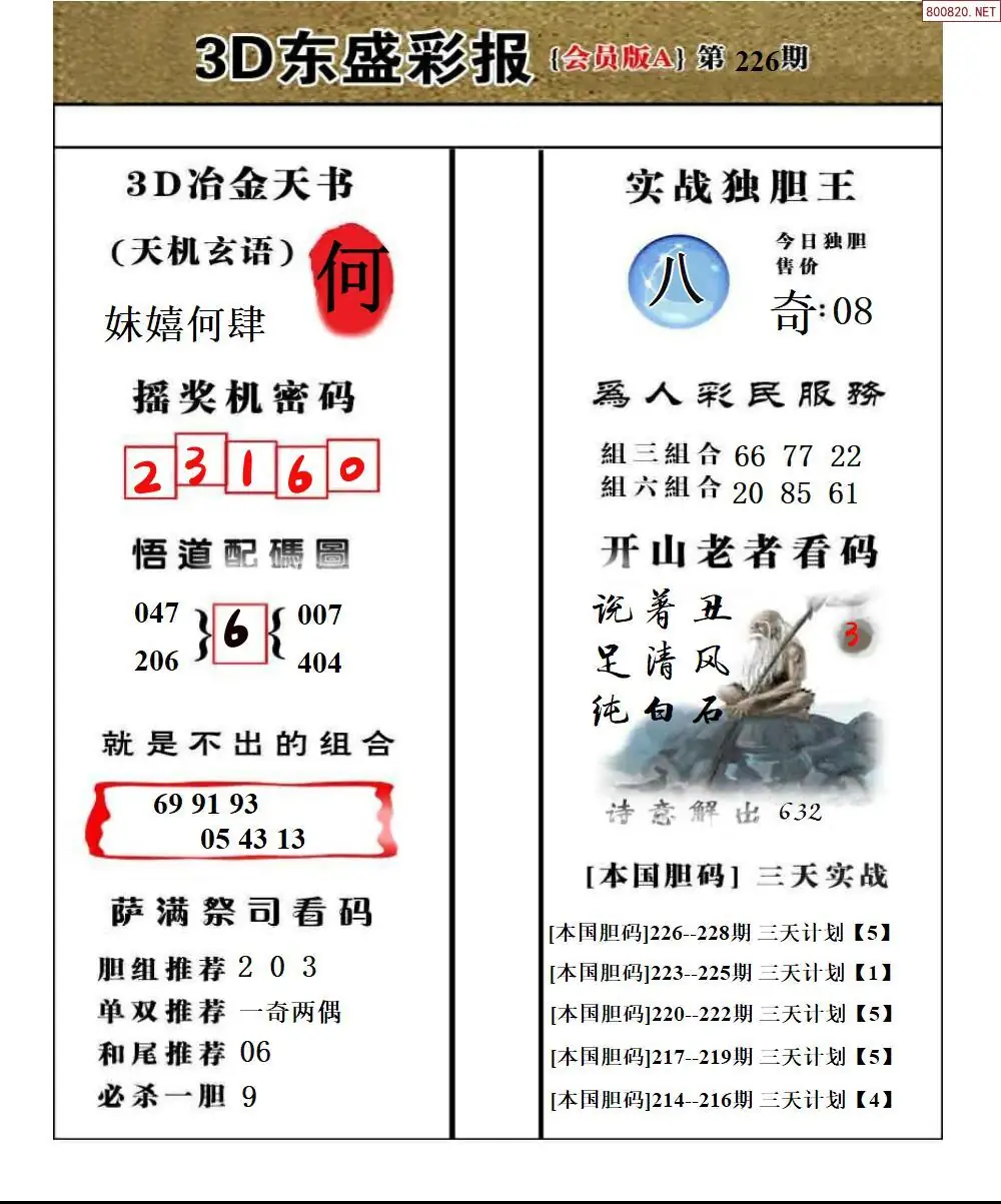 东盛VIP版A版