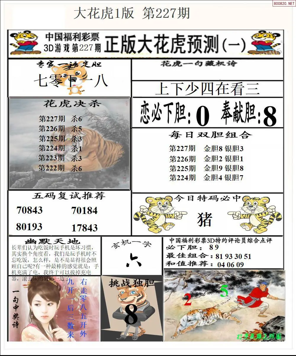 大花虎1版