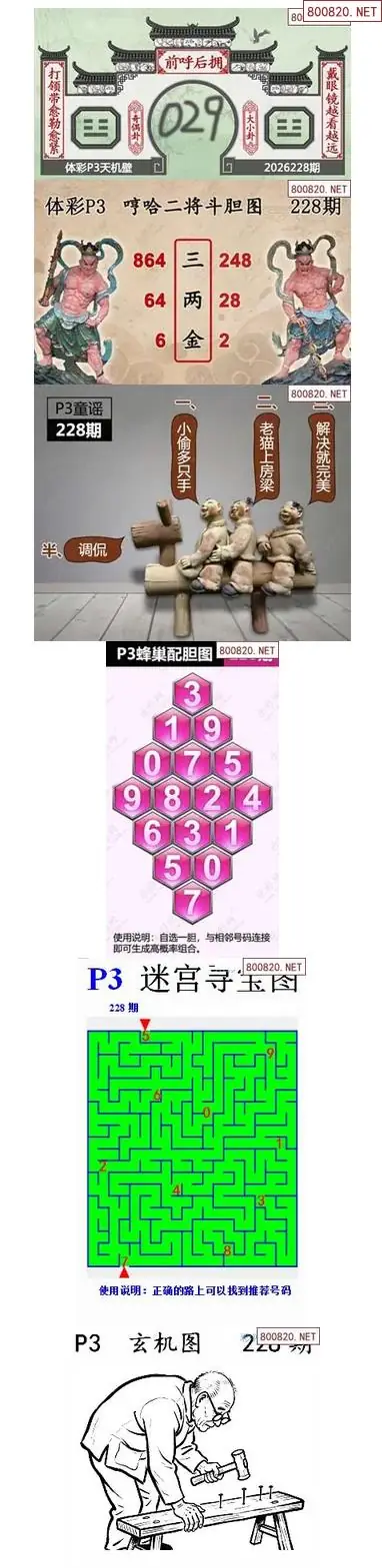 蜂巢天机图谜