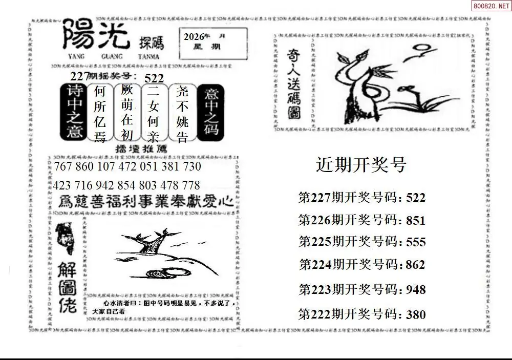3D阳光探码
