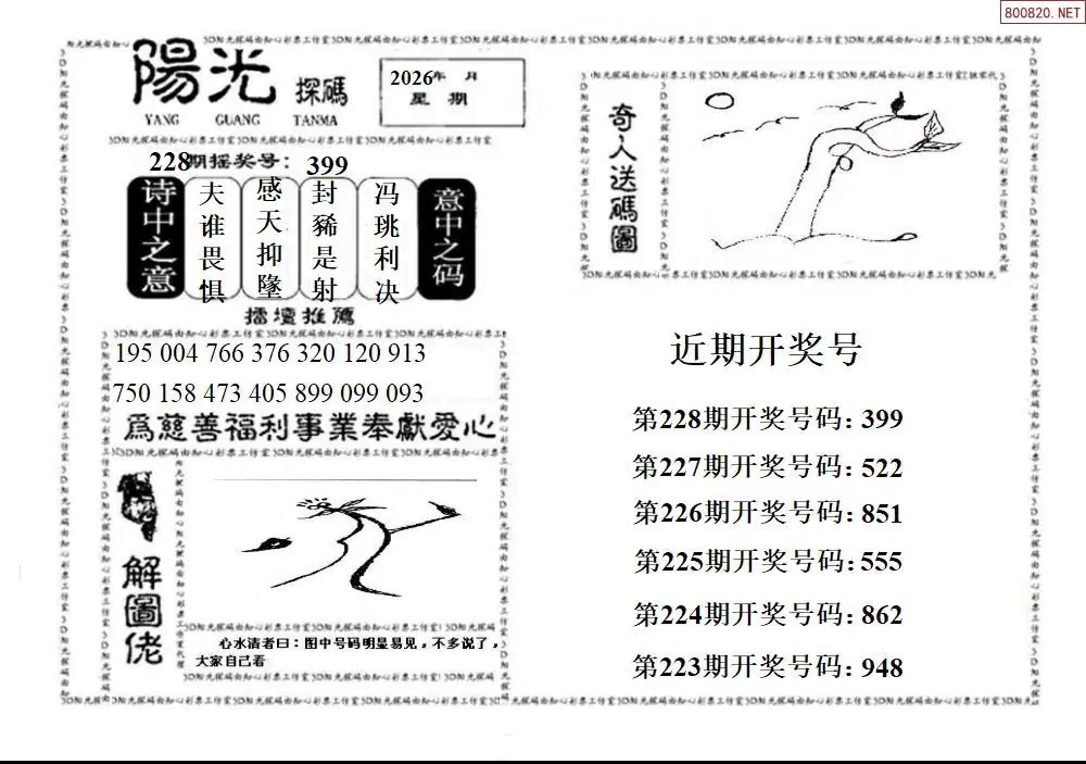 3D阳光探码