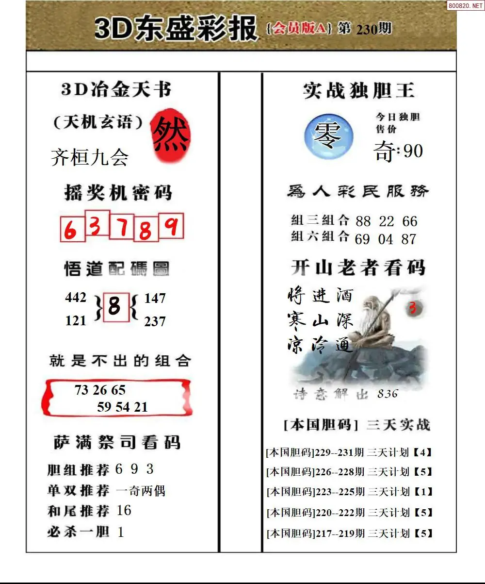 东盛VIP版A版