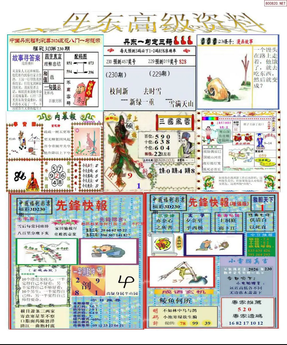 真丹东高级资料