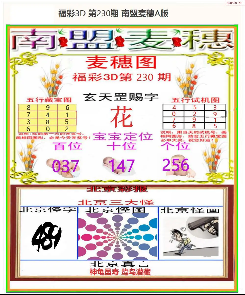 南盟麦穗A版