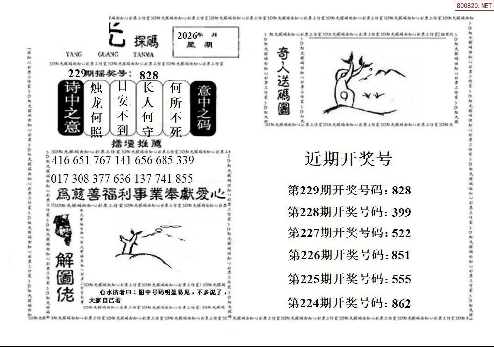 3D阳光探码
