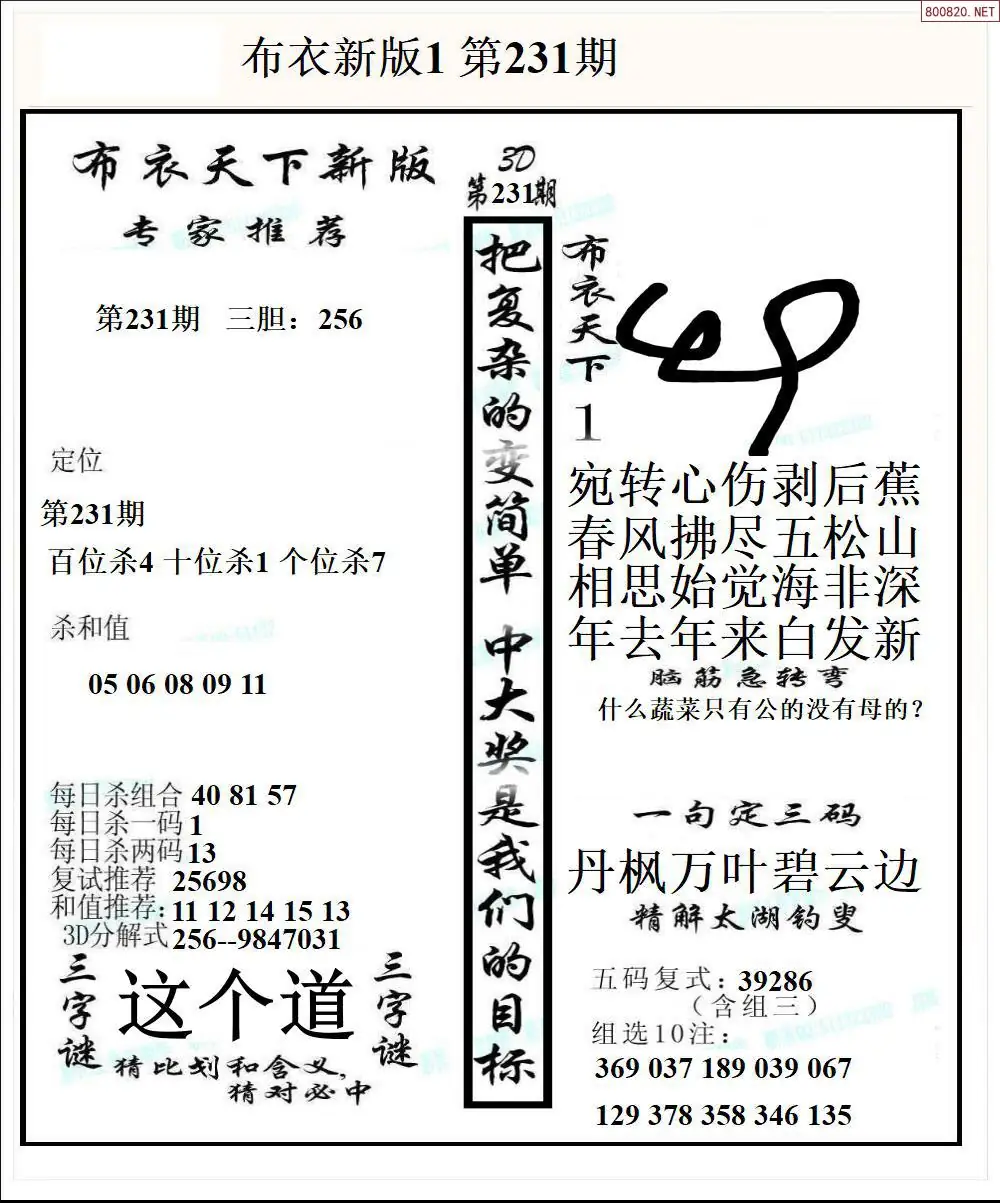 新版布衣1
