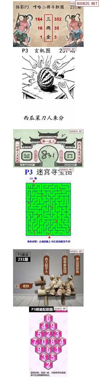 蜂巢天机图谜