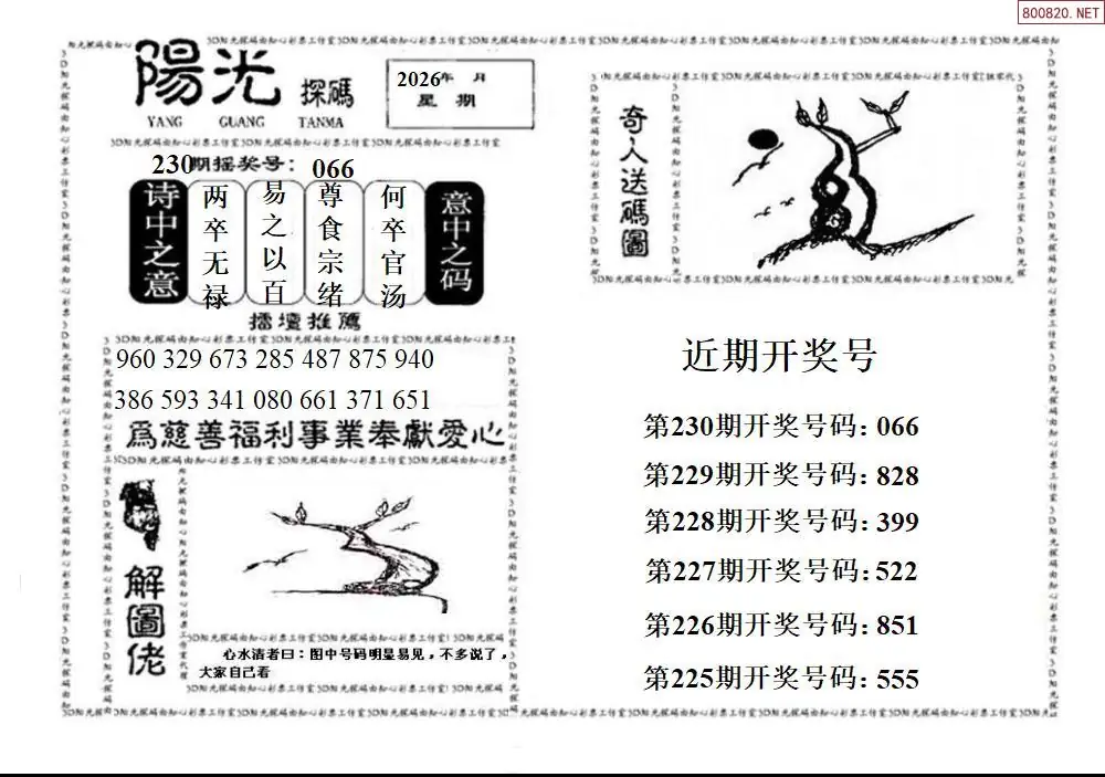 3D阳光探码