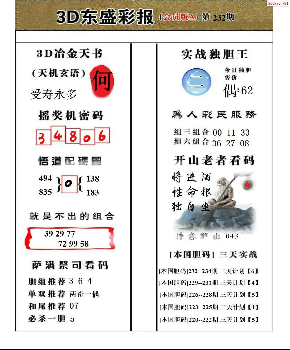 东盛VIP版A版