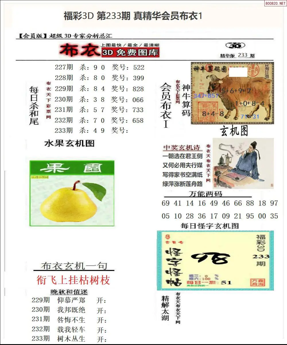 真精华会员布衣1