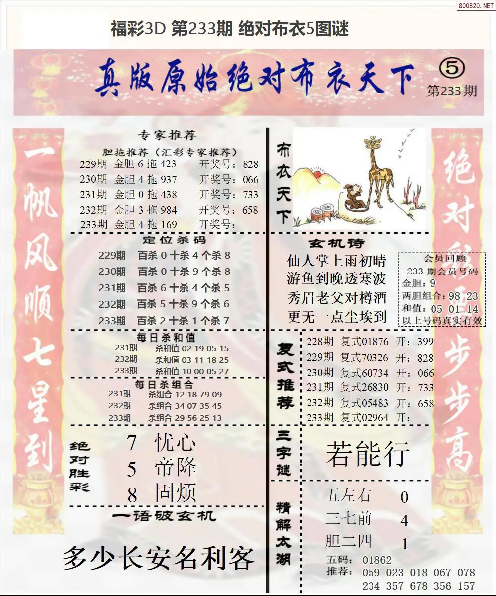 绝对布衣5