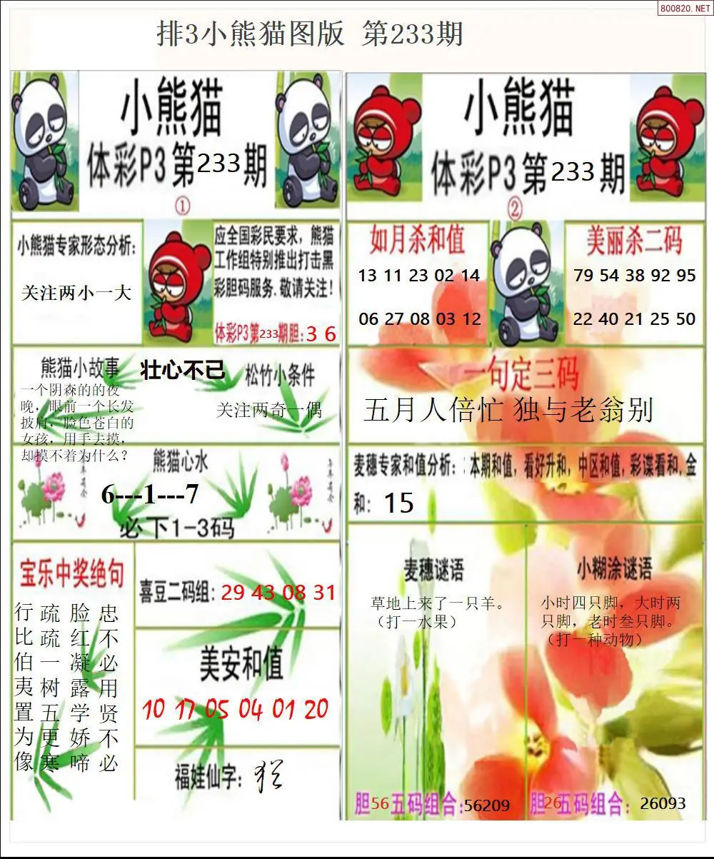 体彩p3小熊猫