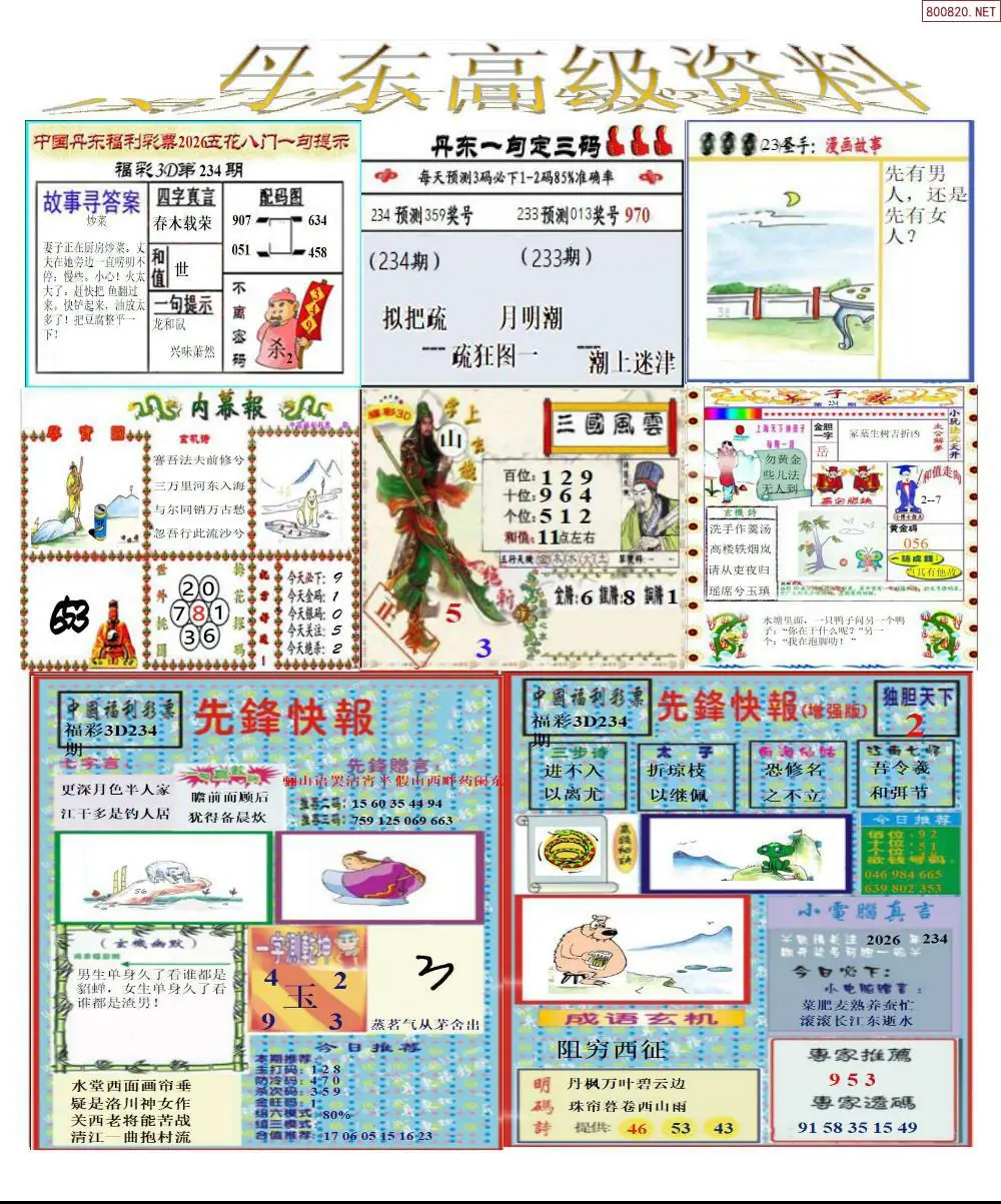 真丹东高级资料