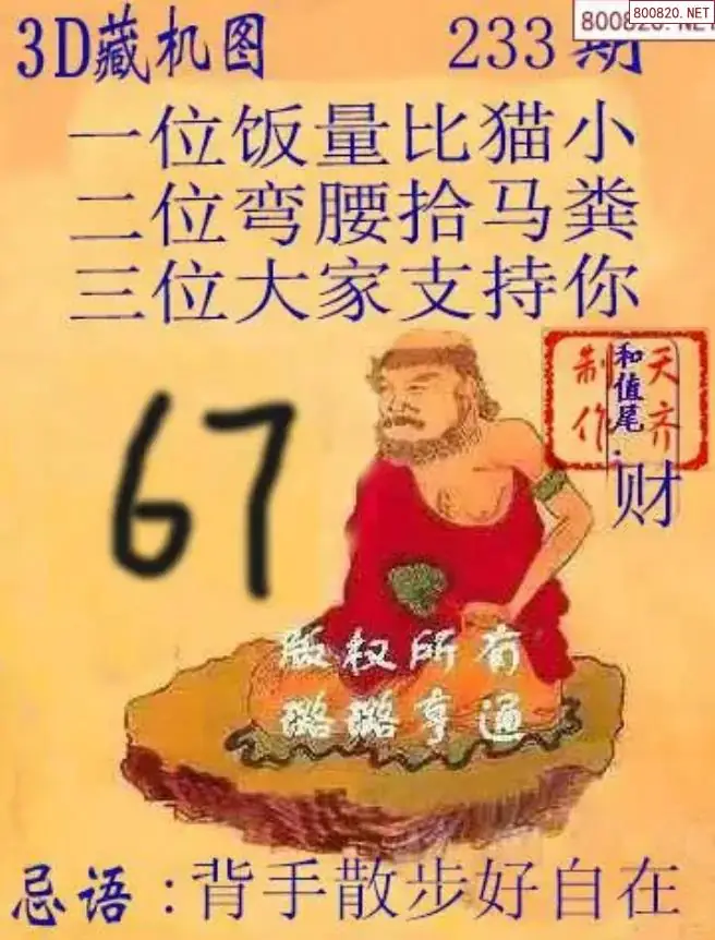 天齐3D藏机图