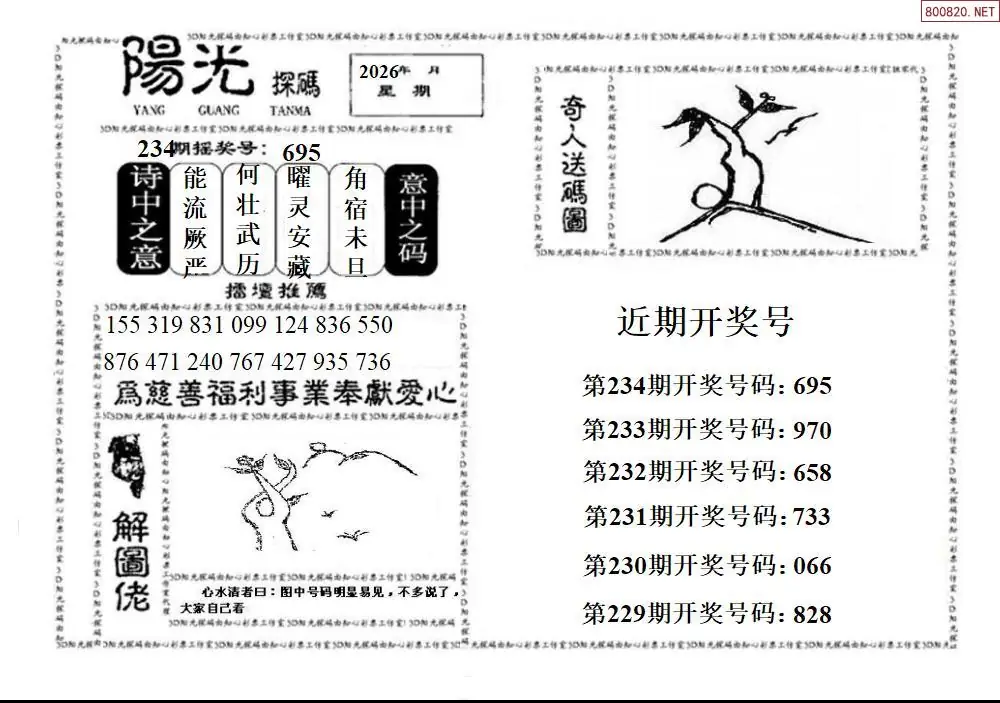 3D阳光探码
