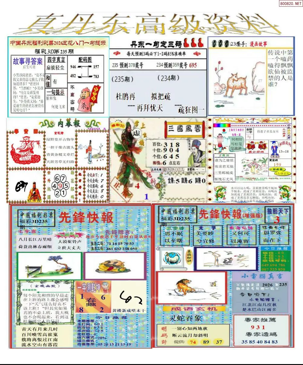 真丹东高级资料