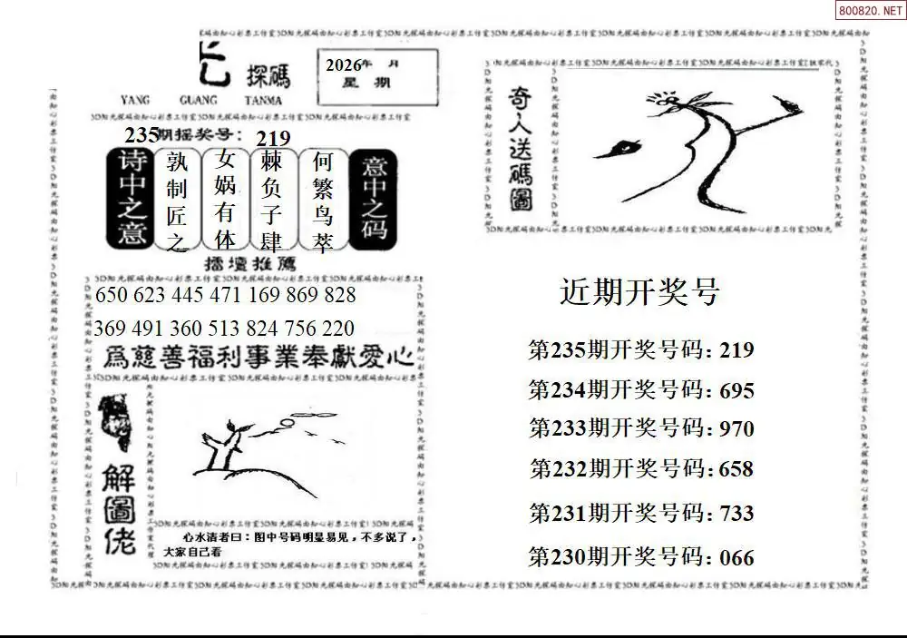 3D阳光探码