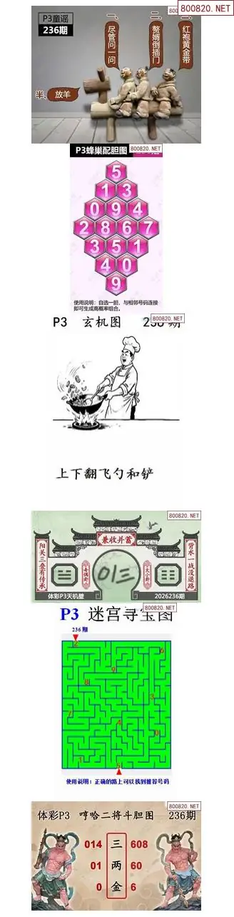蜂巢天机图谜