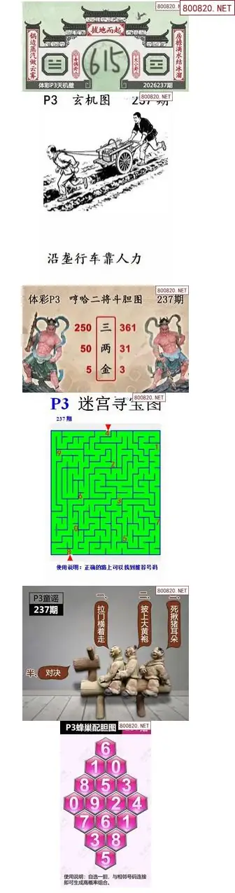蜂巢天机图谜