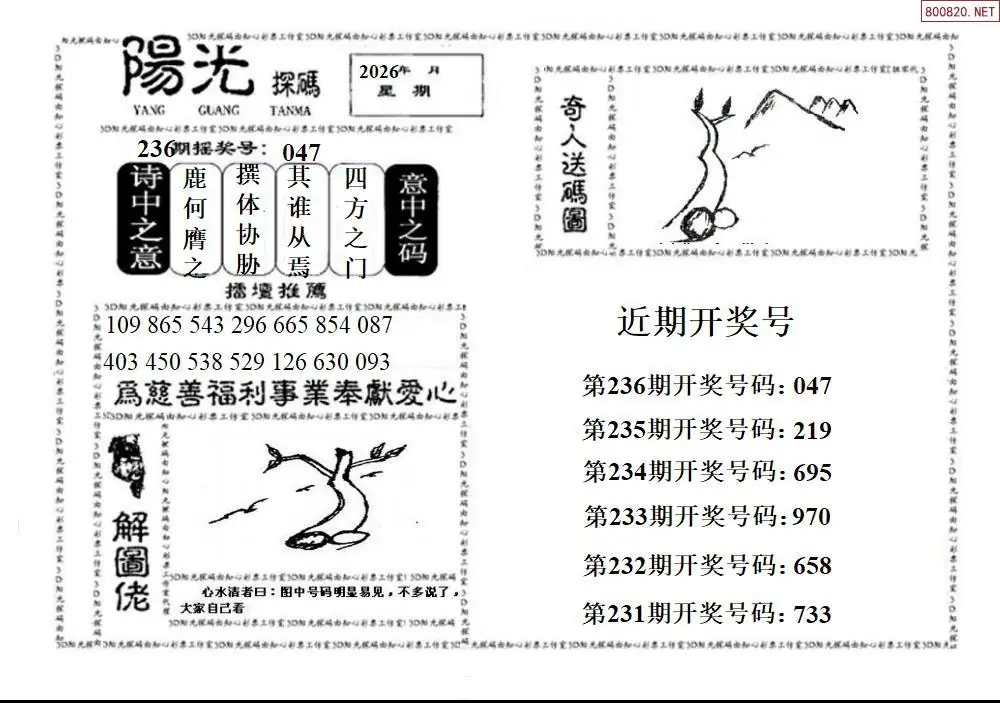 3D阳光探码