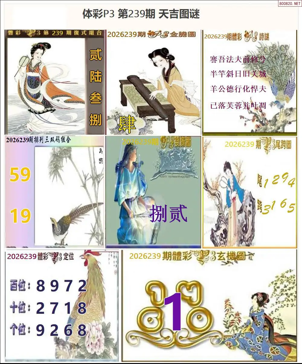 天吉P3图谜
