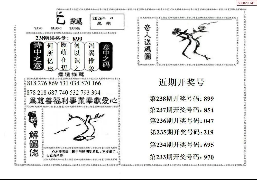 3D阳光探码