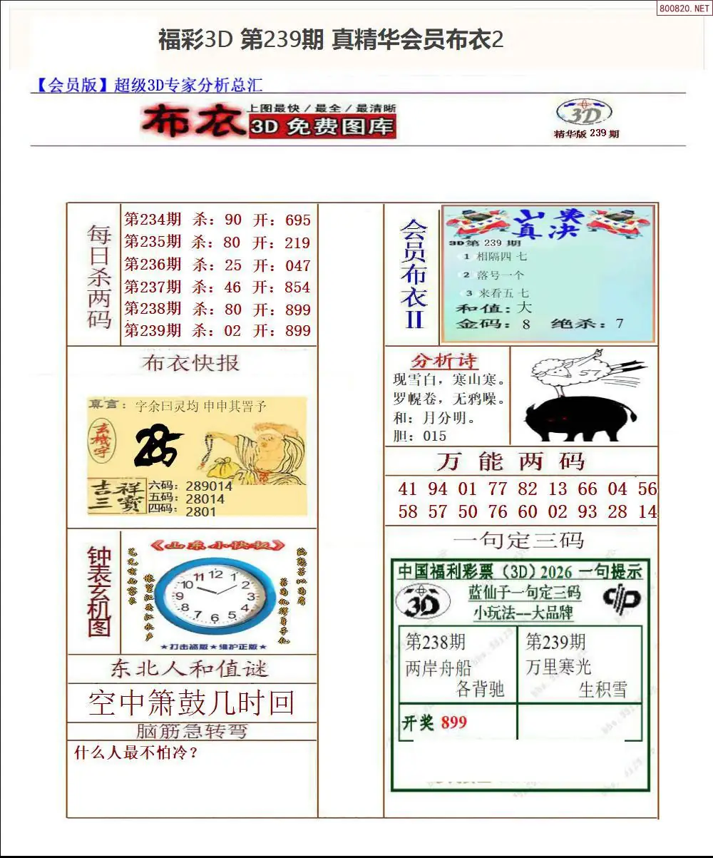 真精华会员布衣2