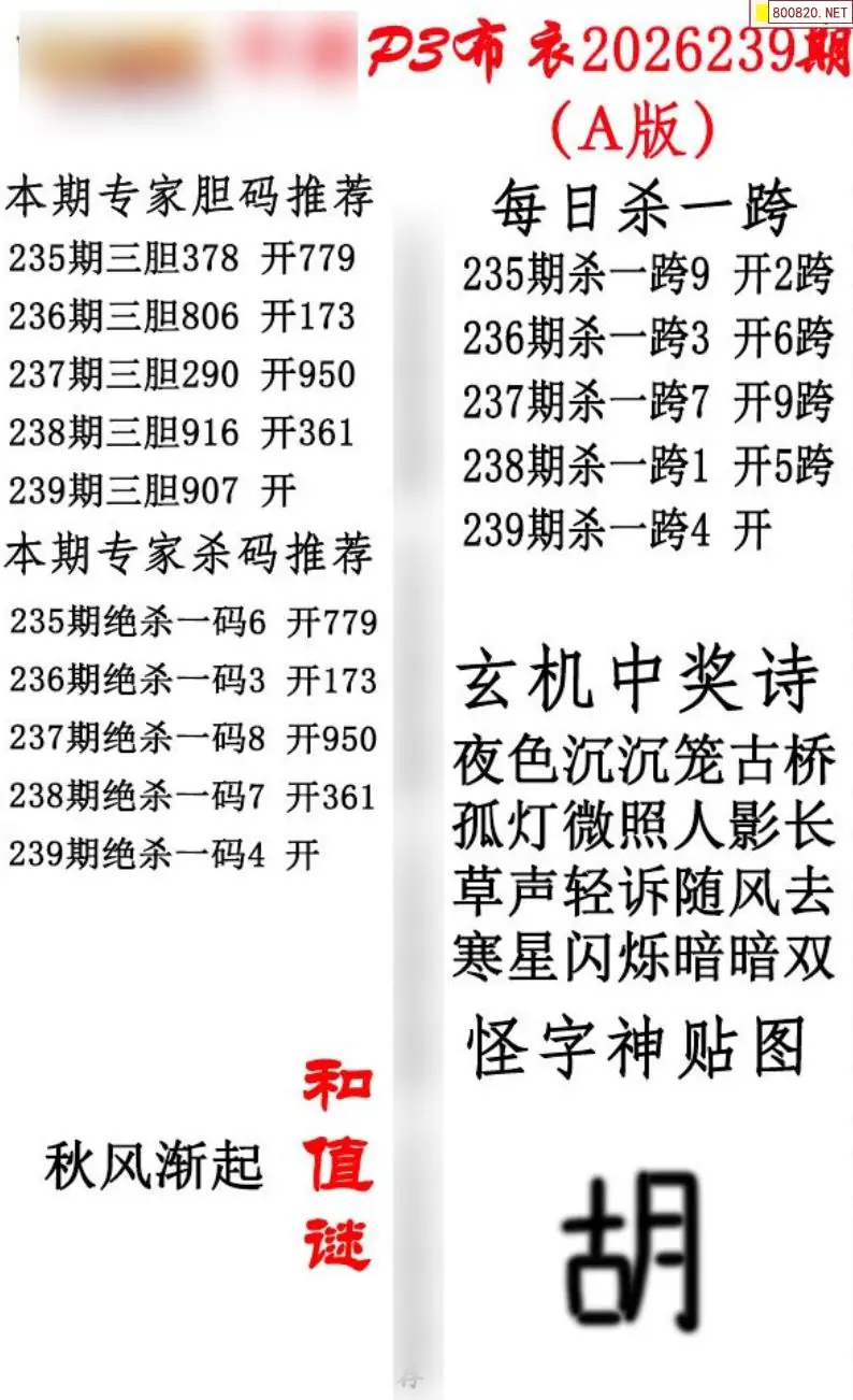 p3牛彩布衣A版