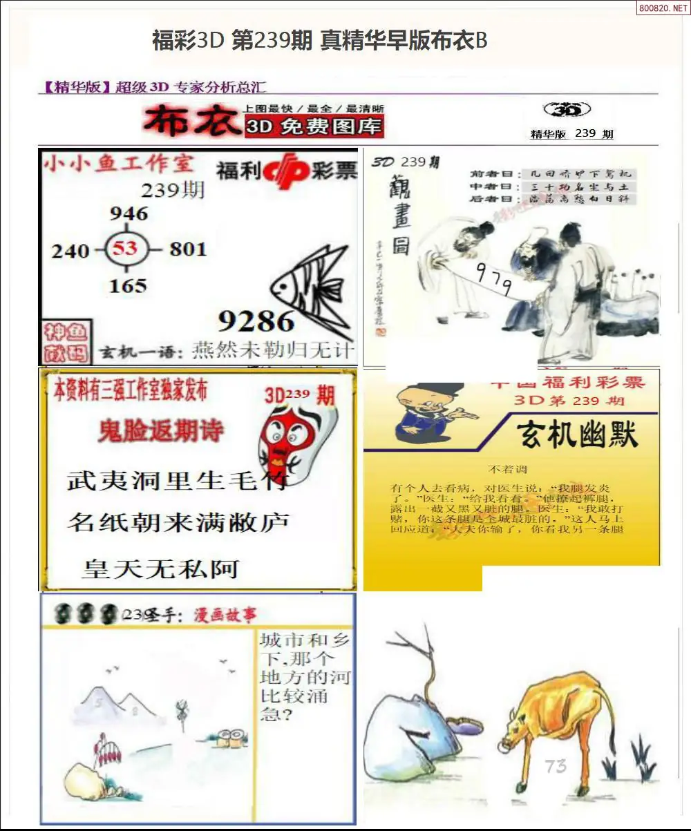 真精华早版布衣B