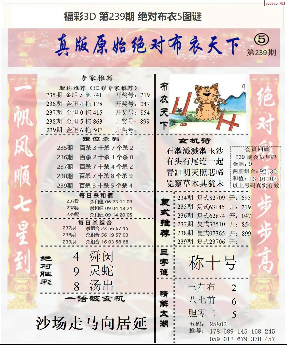 绝对布衣5