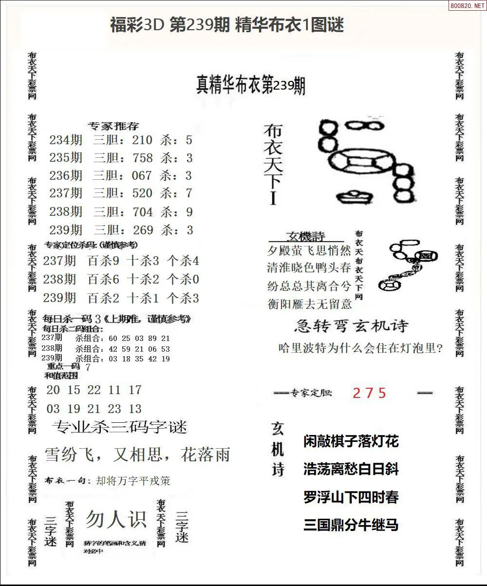 精华布衣1