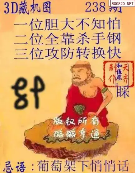 天齐3D藏机图
