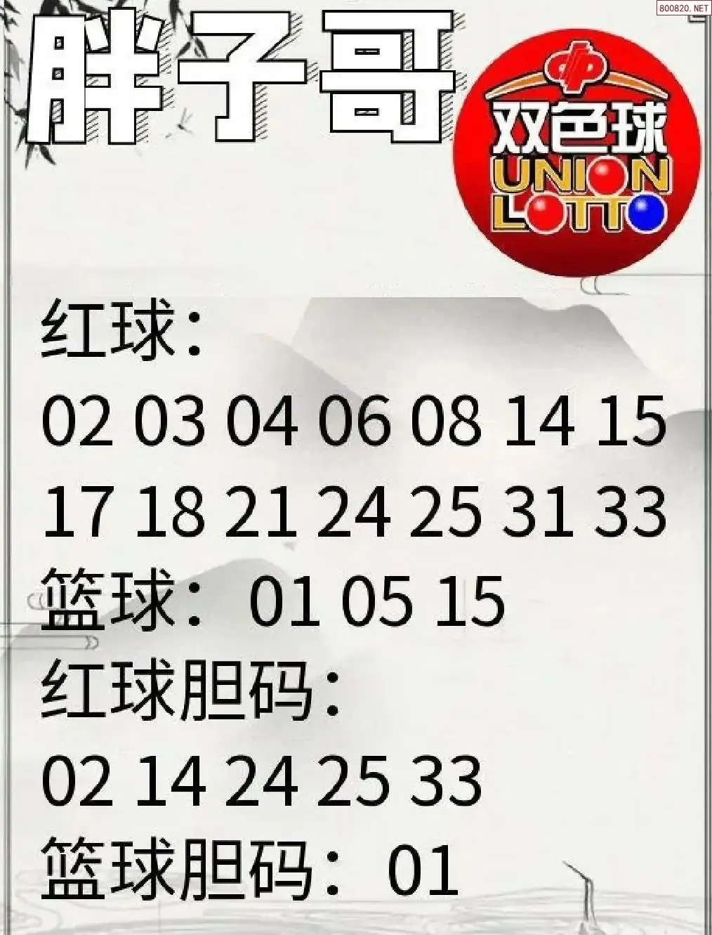 胖哥推荐