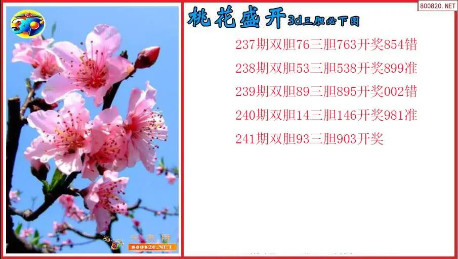 桃花盛开2026241期3d三胆必下图（原创）