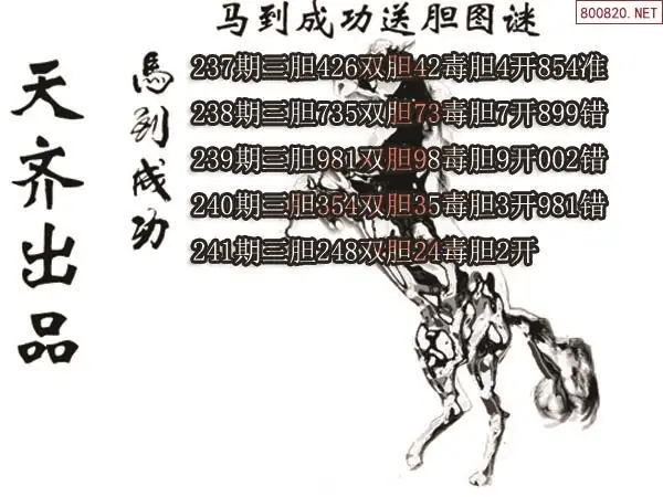 2026年241期马到成功专家3d送胆图谜-福多多网原创