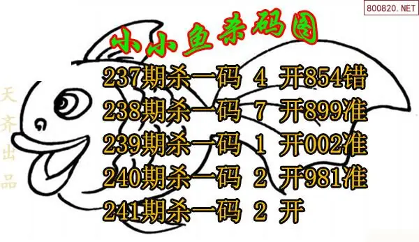26241期小小鱼3d杀码图谜-福多多原创
