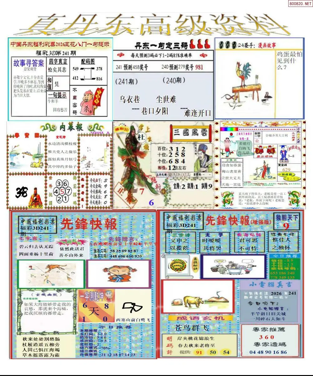 真丹东高级资料